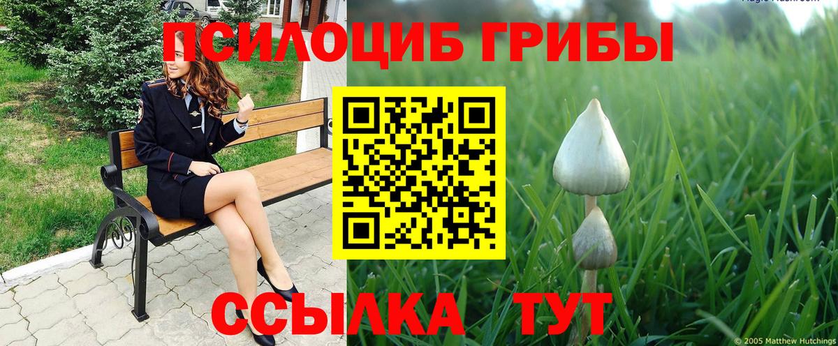 Псилоцибиновые грибы Magic Shrooms Карталы