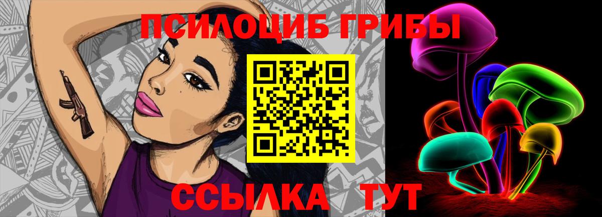 Карталы  Псилоцибиновые грибы Cubensis  Вход с VPN 